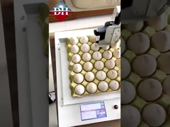 ক্ষুদ্র ডিম ইঙ্কজেট প্রিন্টার Xy অক্ষ ইন্টেলিজেন্ট ডিম ইঙ্কজেট প্রিন্টার সম্পূর্ণ স্বয়ংক্রিয়