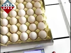 ক্ষুদ্র ডিম ইঙ্কজেট প্রিন্টার Xy অক্ষ ইন্টেলিজেন্ট ডিম ইঙ্কজেট প্রিন্টার সম্পূর্ণ স্বয়ংক্রিয়